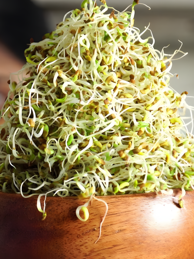 moong dal sprouts